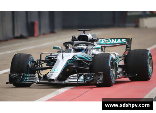 f1 drs是什么？(F1赛车的最大功率是多少？)