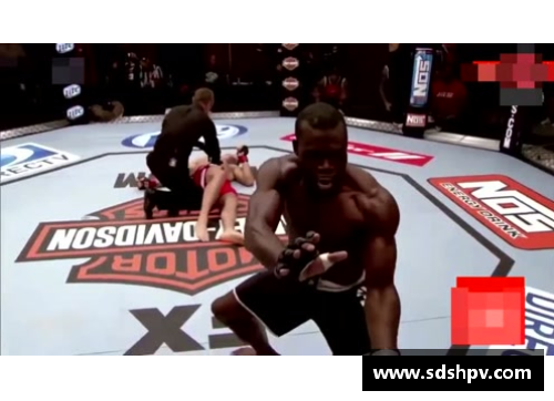ufc mma 自由搏击区别？(自由搏击教学？)